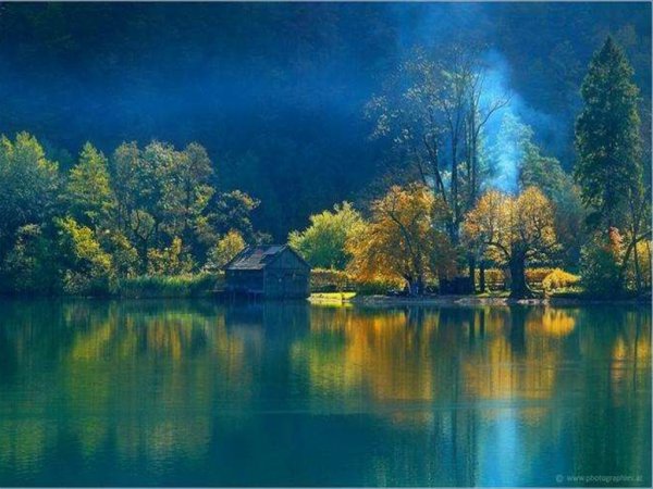 Природа лес