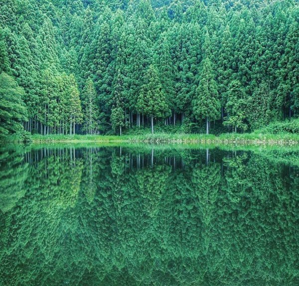 Природа отражение