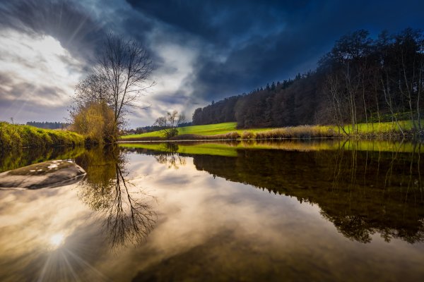 Удивительная природа
