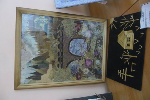 Отражение природы в зеркале