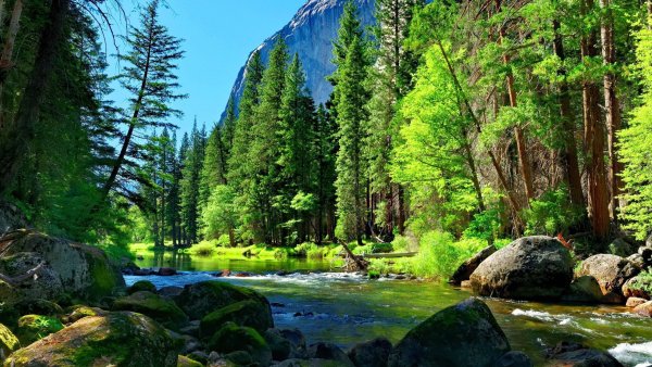 Yosemite National Park дорога