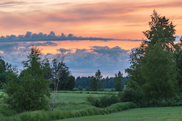 Русская природа