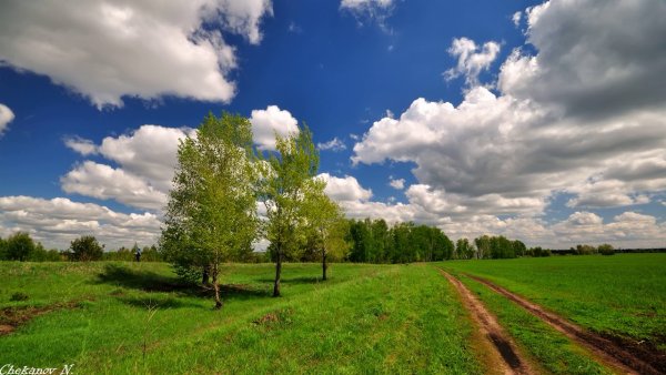 Родные просторы России