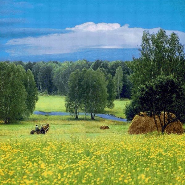 Лесные просторы деревни Лебяжье