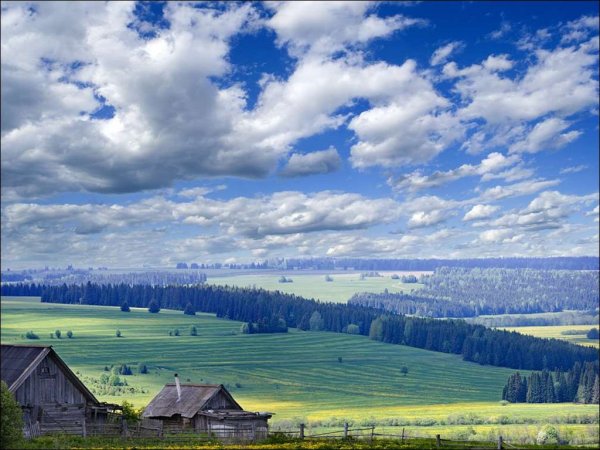 Родные просторы природа родного села