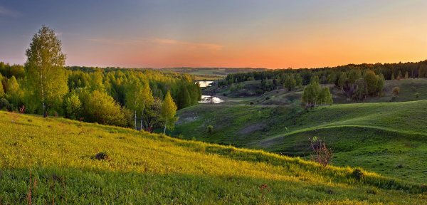 Холмы перелески Луга