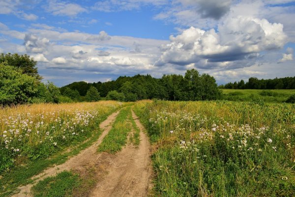 Родные просторы России