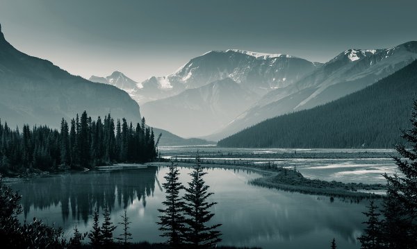 Черно белый лес и горы