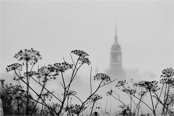 Пьер Пеллегрини фотограф
