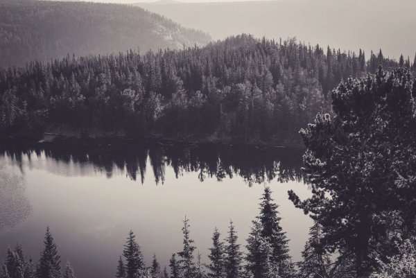 Мрачное лето