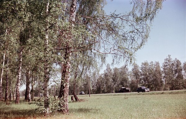 Советские снимки природа