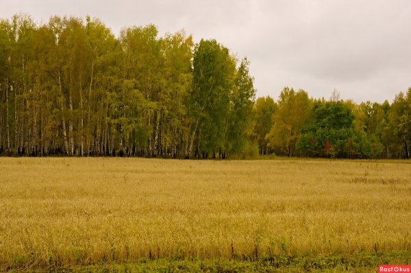 Советские фото природы