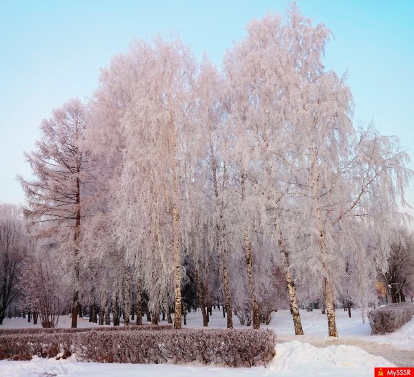 Россия природа Советская