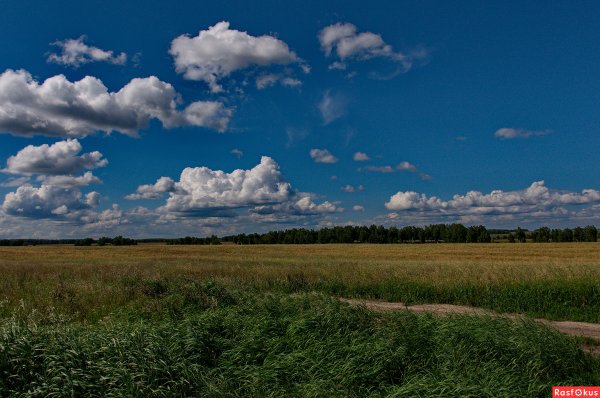 Природа СССР