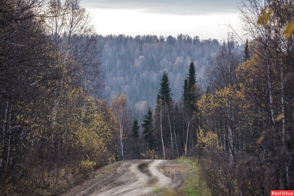 Старые снимки природы