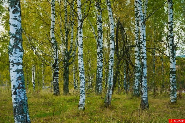 Советская Пейзажная фотография