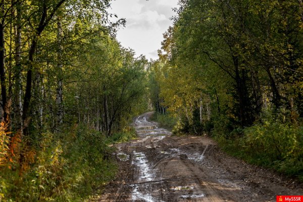 Сельская природа