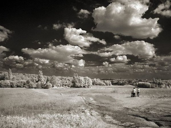 Природа черно белое село