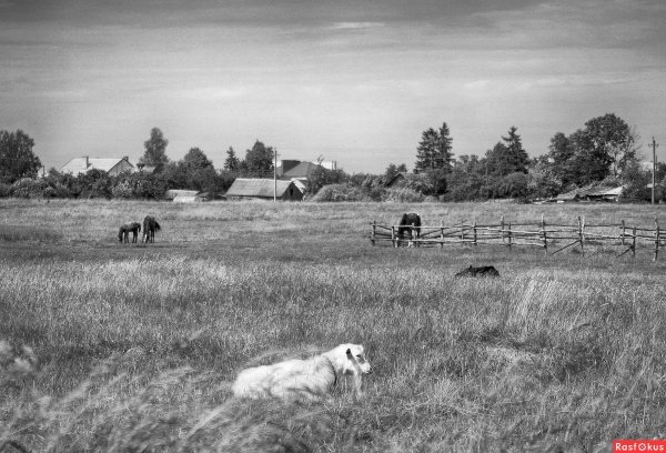 Владимир ролов фотограф