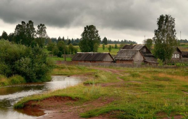 Шишкин перелесок полдень