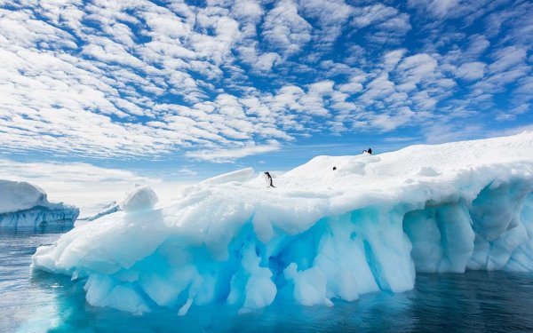 Antarctica — Антарктида