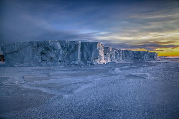 Природа Антарктиды