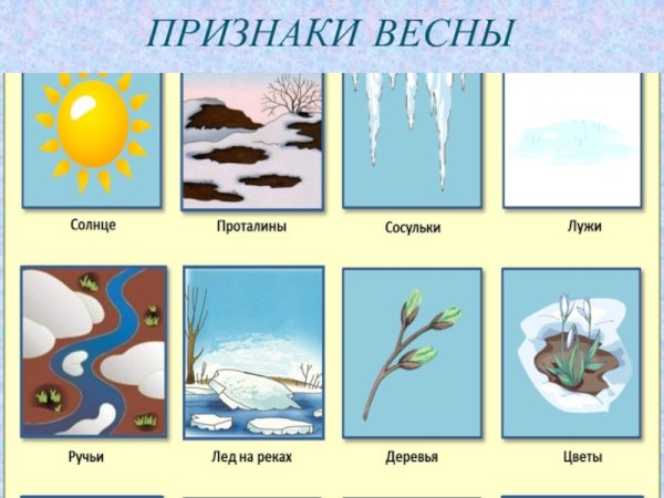 Признаки весны
