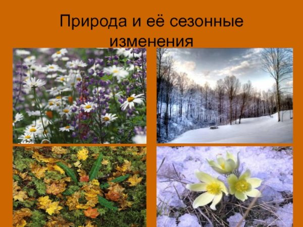 Изменения в природе зимой
