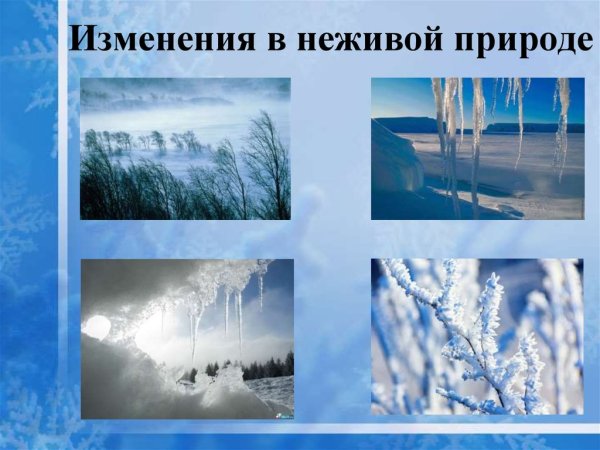 Изменения в природе весной