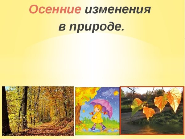 Пейзаж по временам года