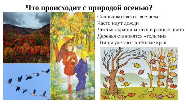 Зима изменения в природе