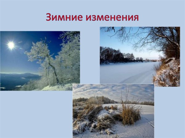 Сезонные изменения в природе