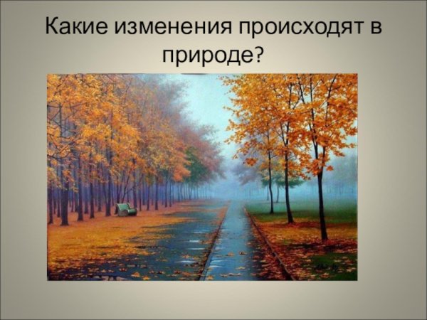 Сухое и зеленое дерево