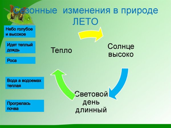 Признаки ранней и поздней осени для дошкольников