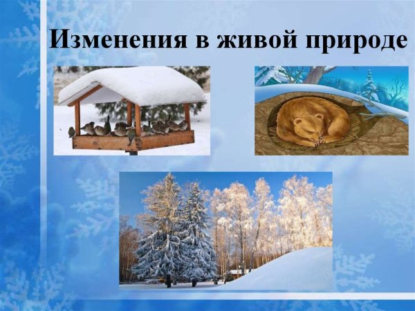 Изменение климата