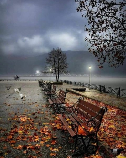 Печальный пейзаж