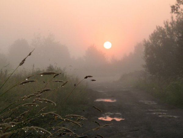 Осень одиночество