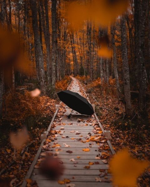 Одиночество природа