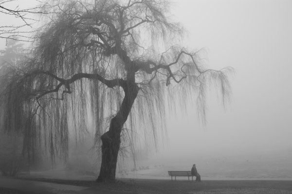 Грусть природа