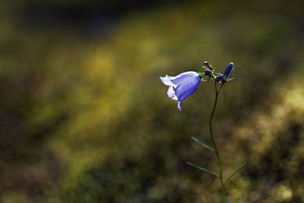 Серость одиночество