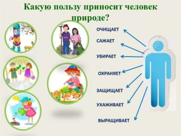 Польза человека для природы