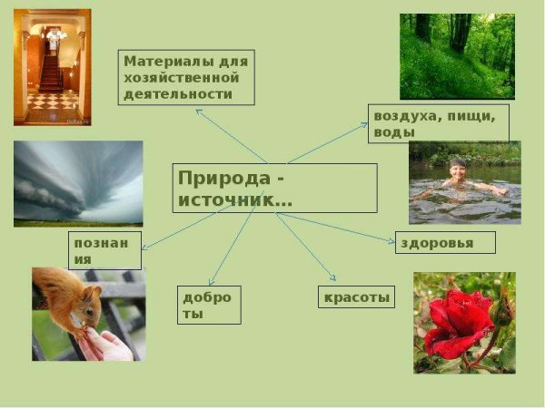 Значимость природы для человека