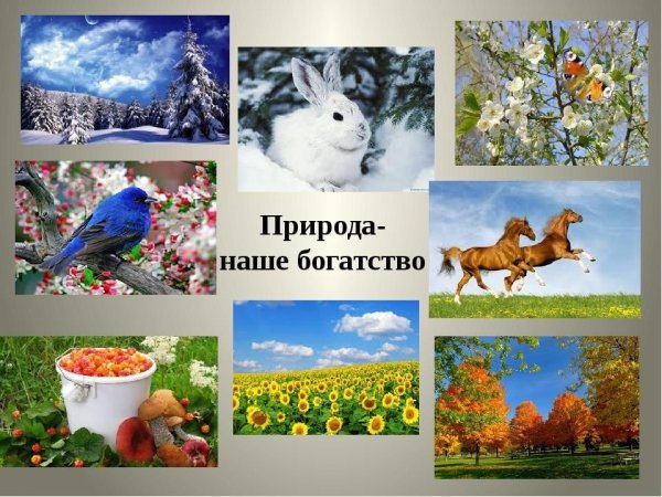 Богатства природы