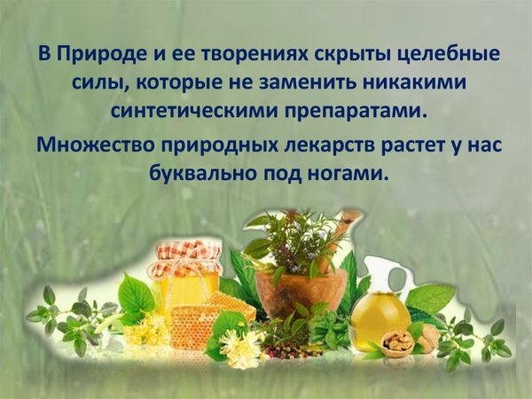 Влияние человека на луг