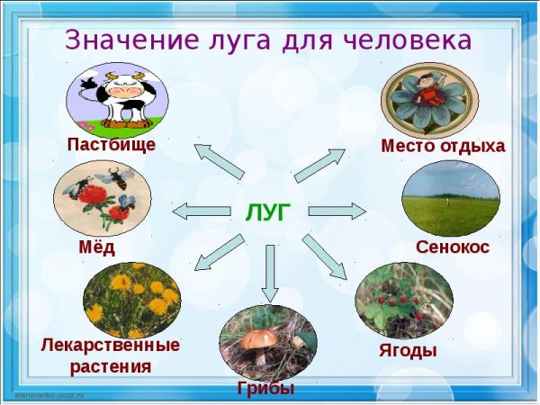 Засениие природы для человека