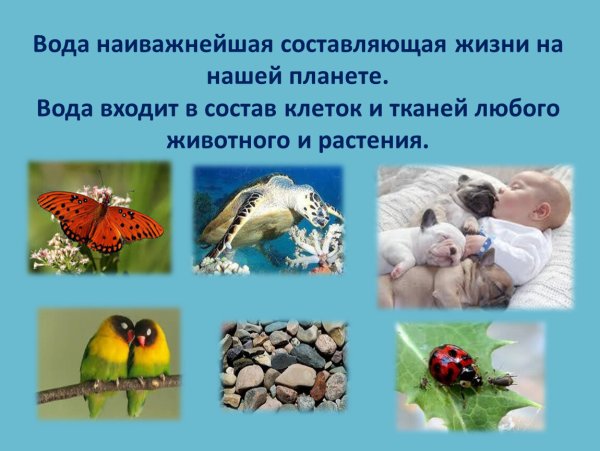 Профессии типа человек природа
