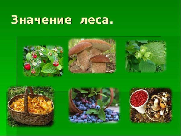 Значение воды в природе