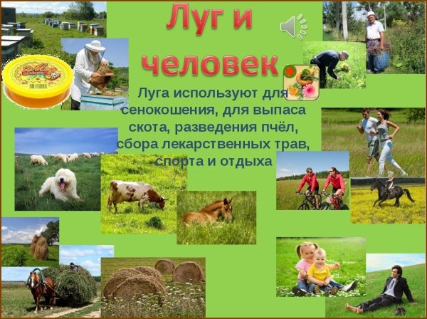Как человек вредит природе