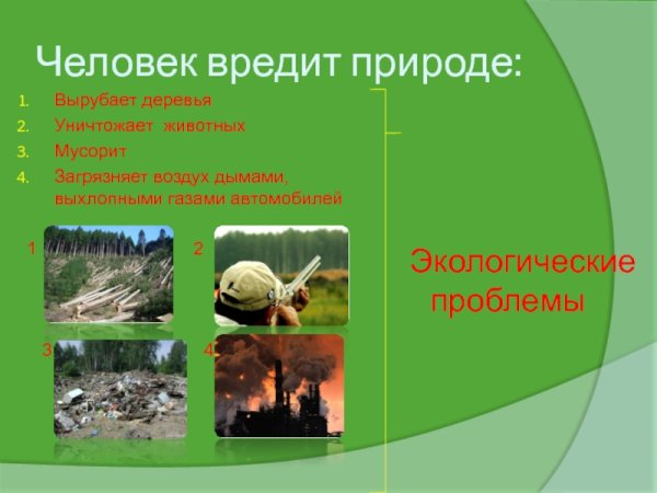 Прогулки на свежем воздухе для здоровья