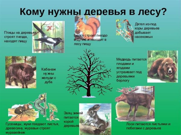 Здоровый человек